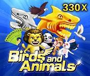 Birds And Animals